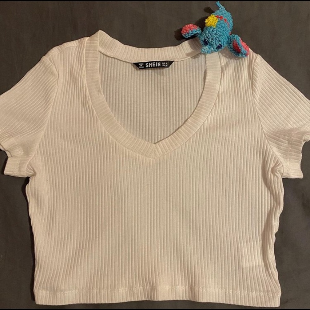 White Crop Top